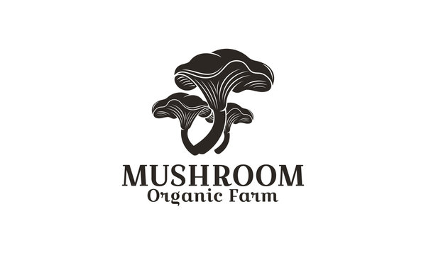 Buy Mushroom In Tennessee Online